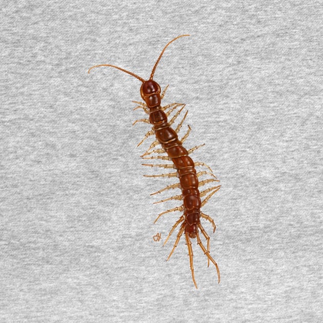 Friendly Centipede Wants to Cuddle! by John Himmelman